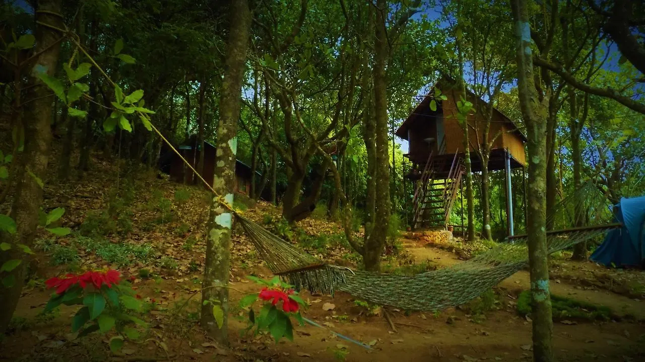 Regina Silva Camping & Nature Resort Paithalmala