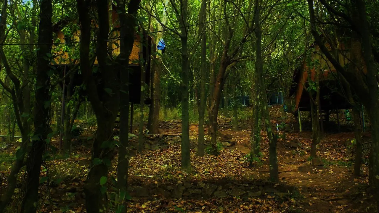 Prázdninový areál Regina Silva Camping & Nature Resort Paithalmala