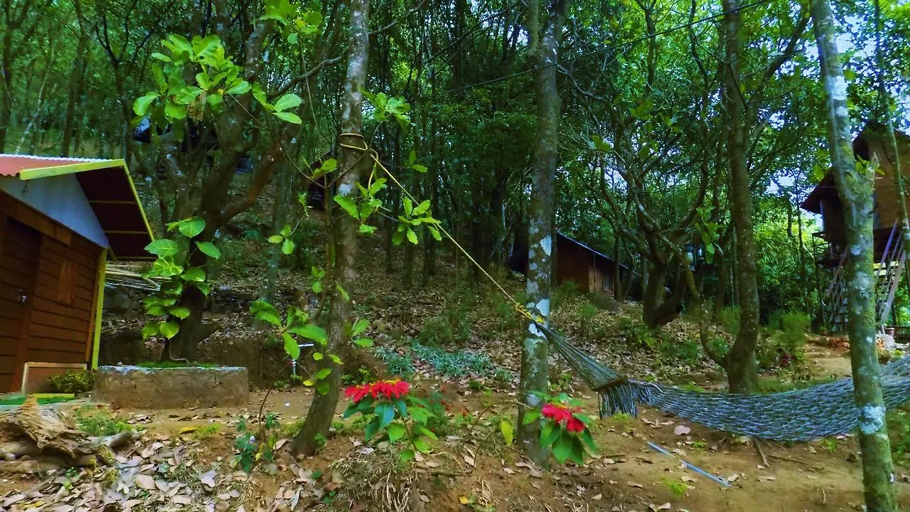 Regina Silva Camping & Nature Resort Paithalmala 0*,  Indie