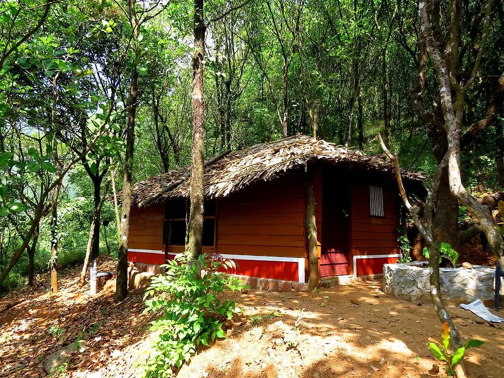 Regina Silva Camping & Nature Resort Paithalmala 0*,
