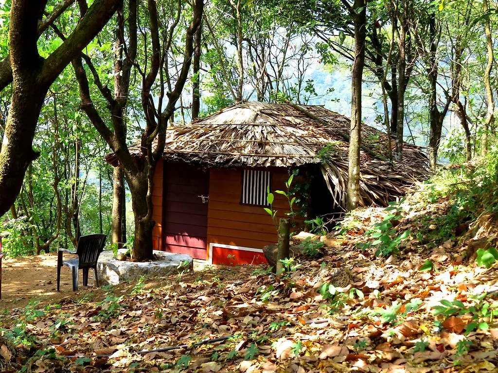 Regina Silva Camping & Nature Resort Paithalmala Holiday park