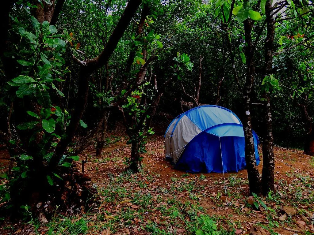 Regina Silva Camping & Nature Resort Paithalmala