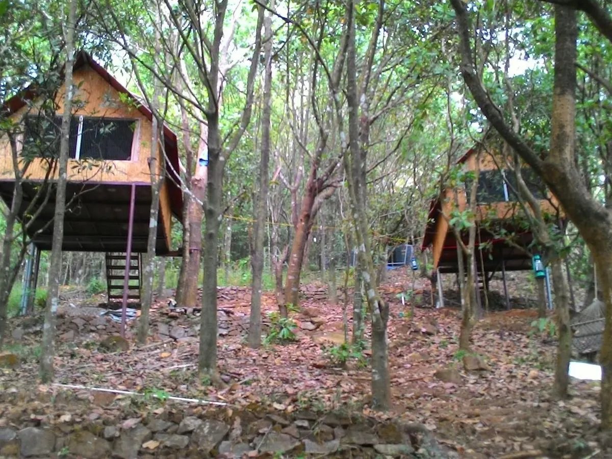 Holiday park Regina Silva Camping & Nature Resort Paithalmala India