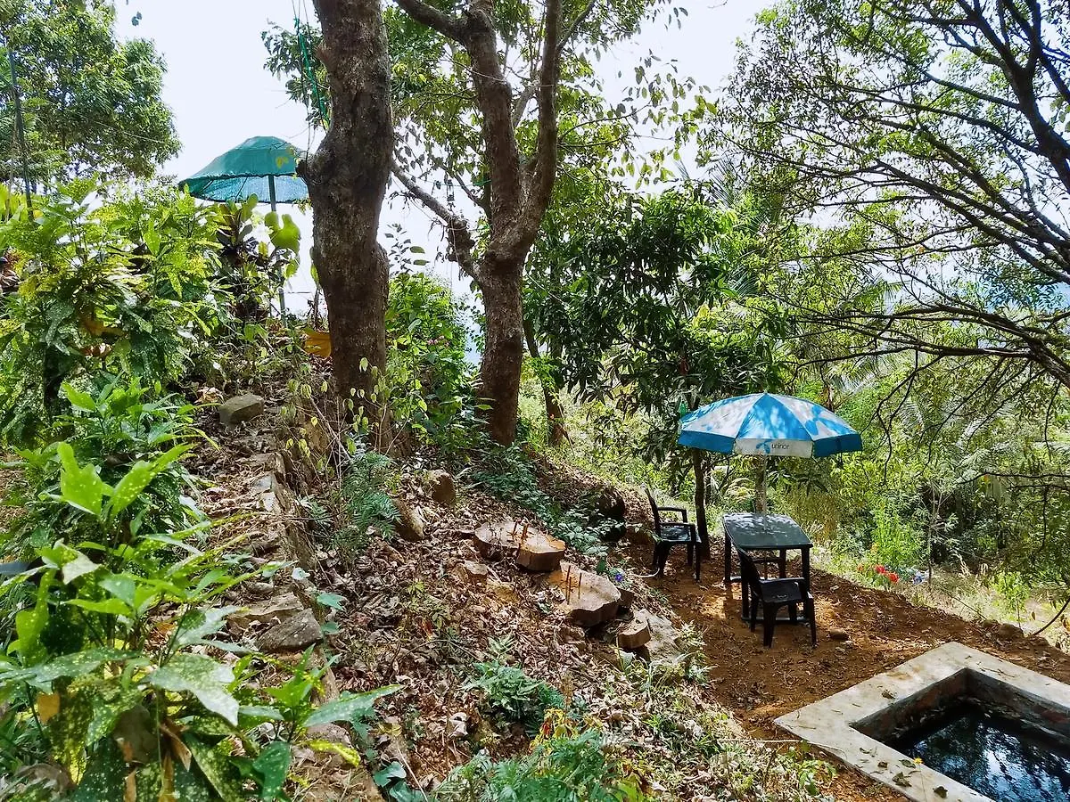 Regina Silva Camping & Nature Resort Paithalmala 0*,  India