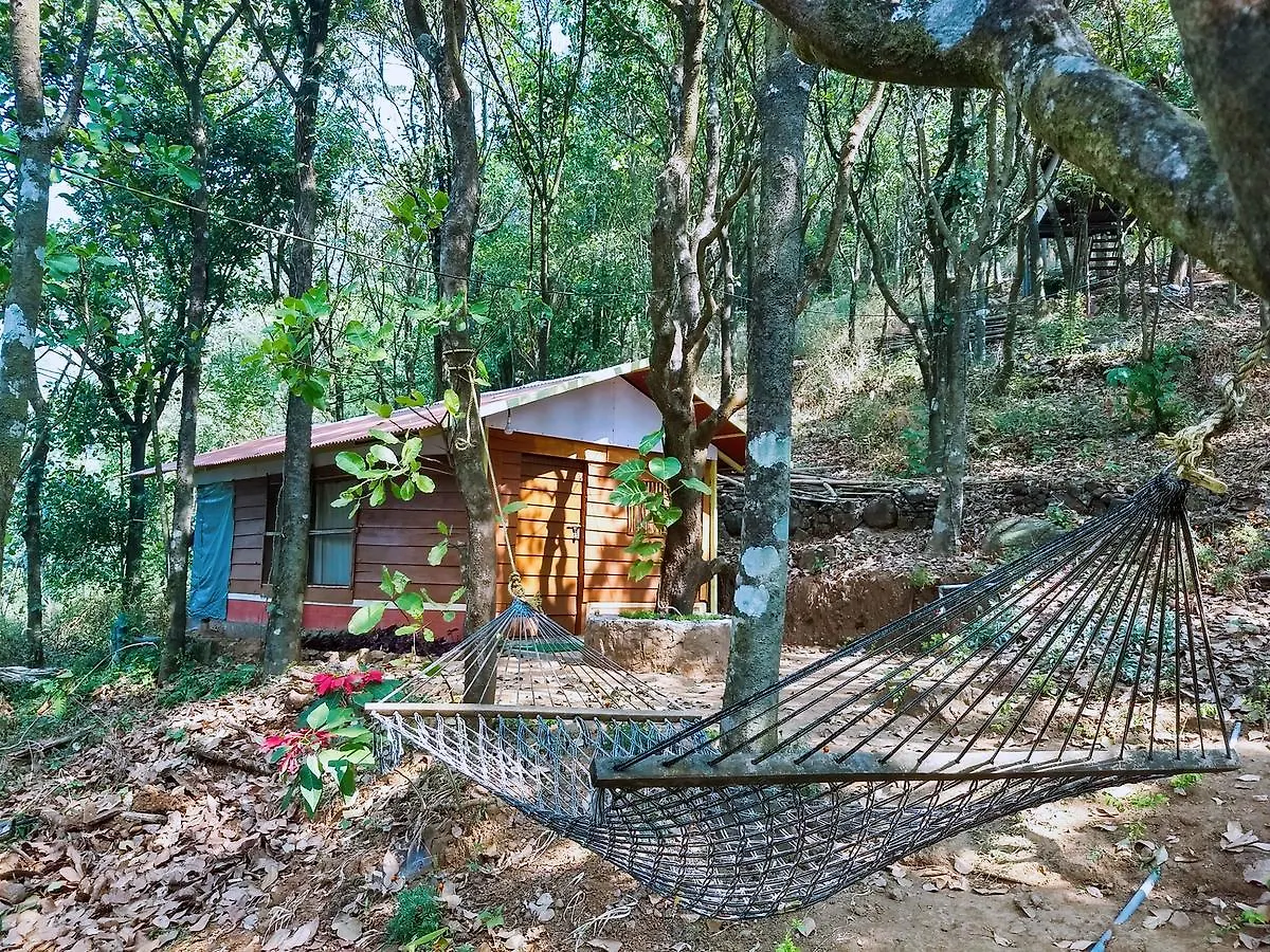 Regina Silva Camping & Nature Resort Paithalmala Holiday park