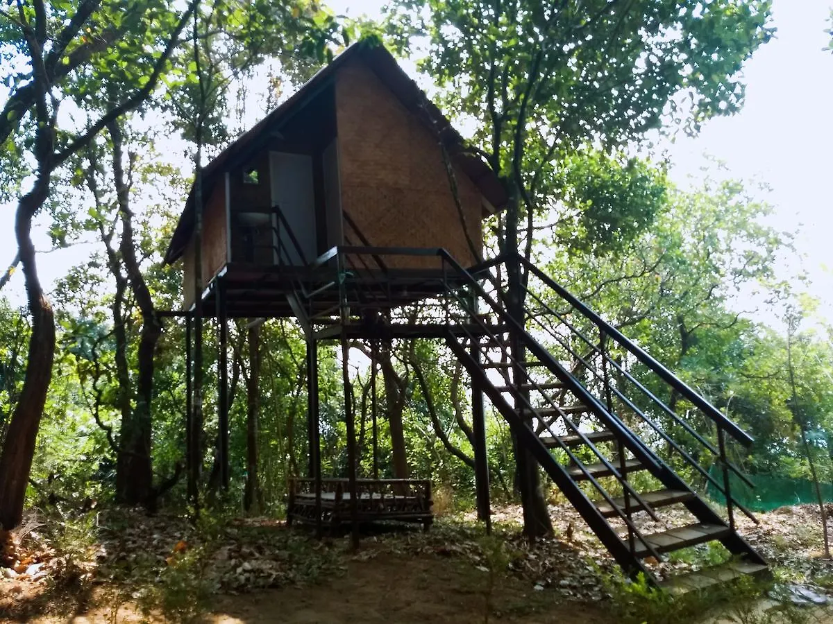 Holiday park Regina Silva Camping & Nature Resort Paithalmala India