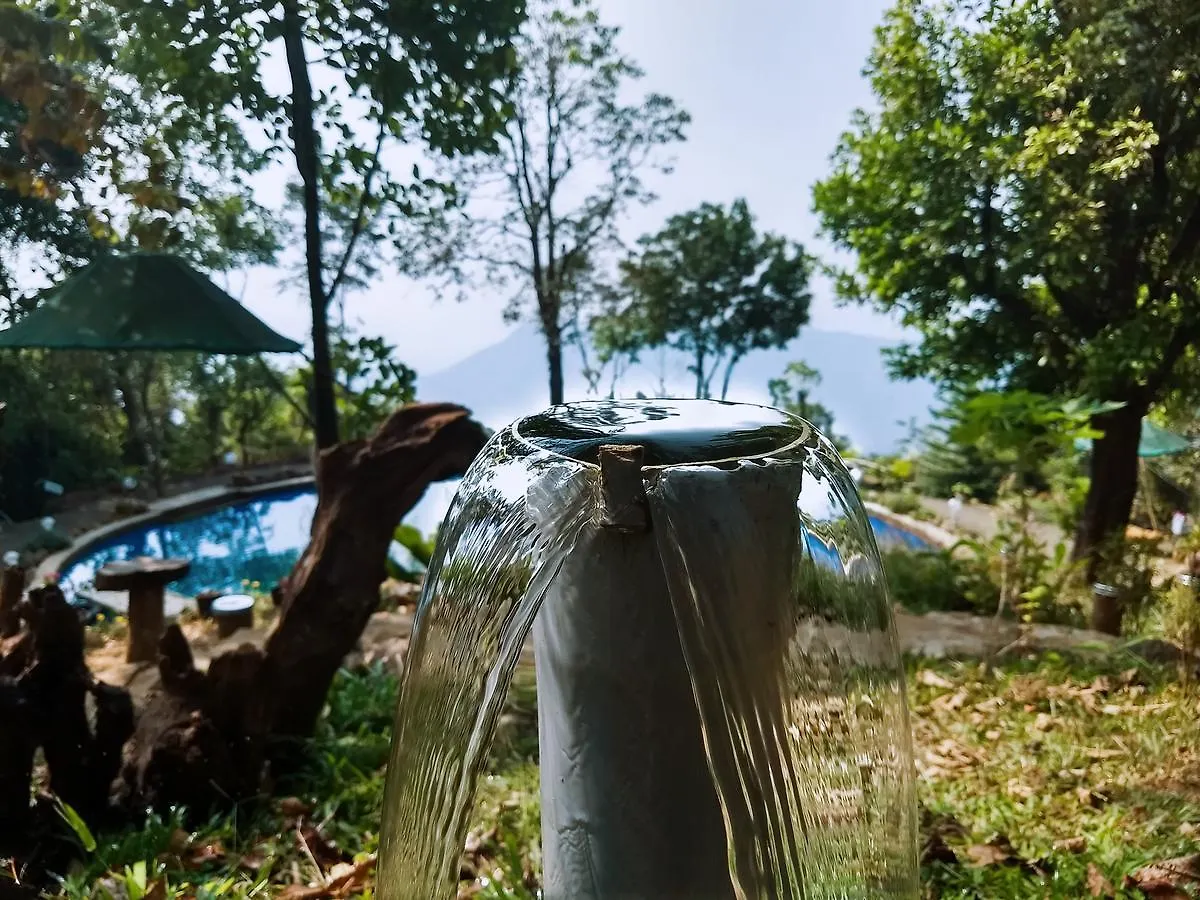 Regina Silva Camping & Nature Resort Paithalmala Holiday park