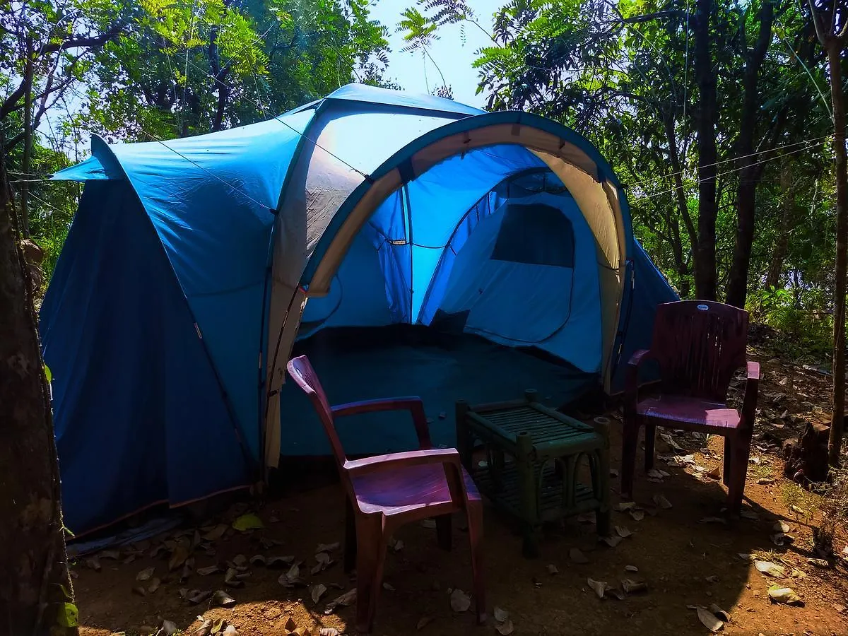 Regina Silva Camping & Nature Resort Paithalmala 0*,  India