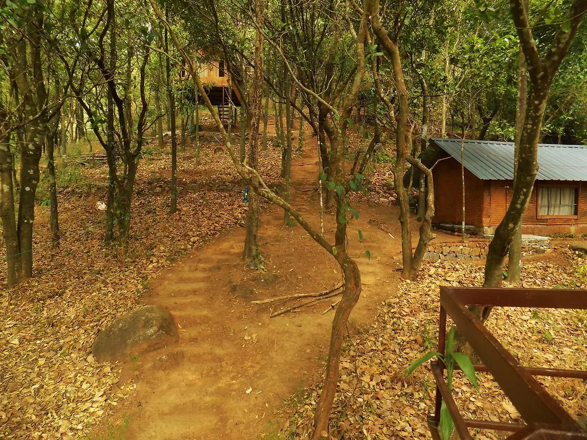 Regina Silva Camping & Nature Resort Paithalmala Holiday park
