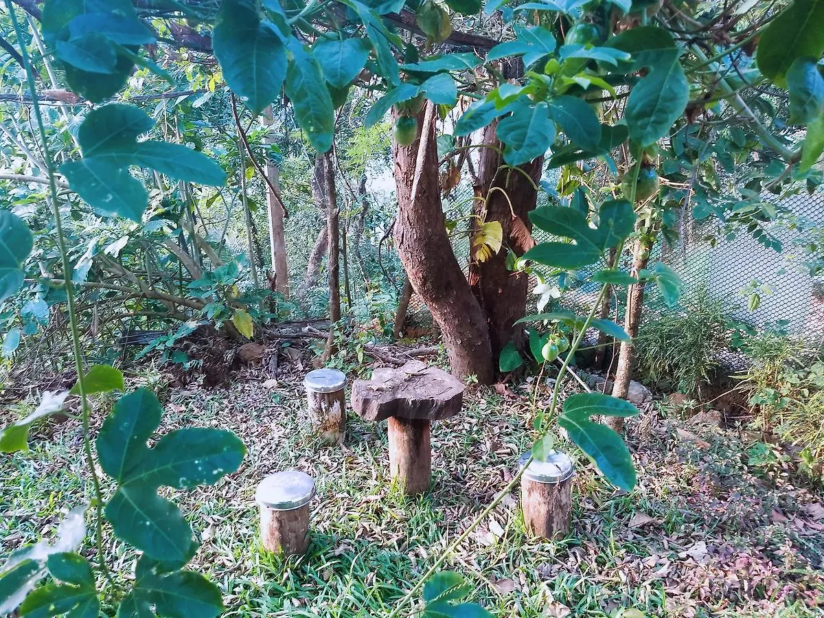Holiday park Regina Silva Camping & Nature Resort Paithalmala