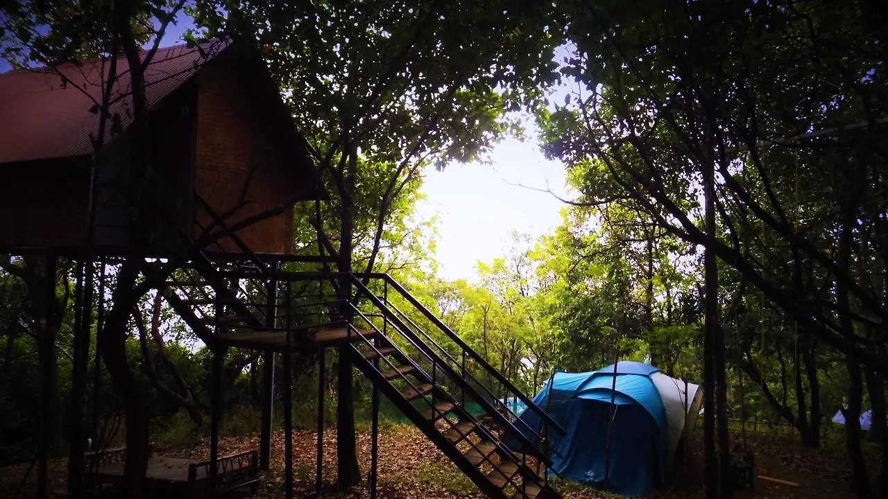 Holiday park Regina Silva Camping & Nature Resort Paithalmala India