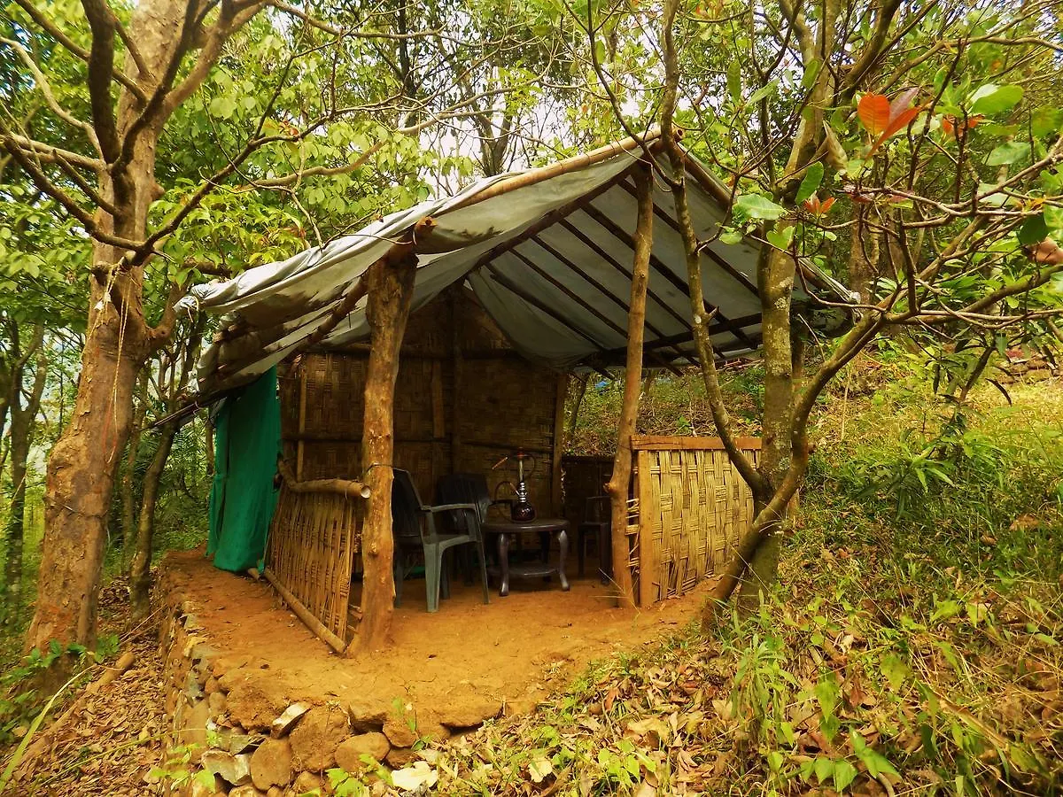 Regina Silva Camping & Nature Resort Paithalmala 0*,  India