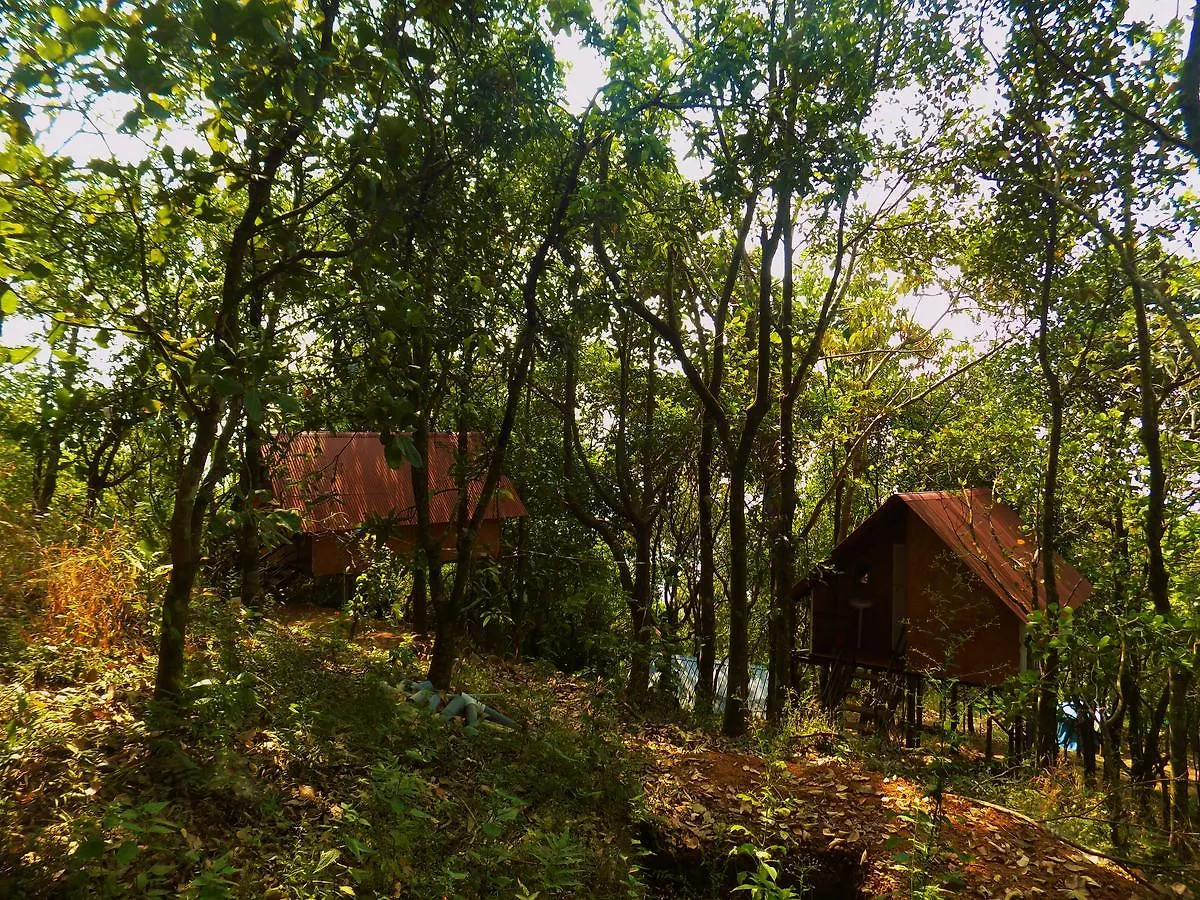 Regina Silva Camping & Nature Resort Paithalmala Holiday park