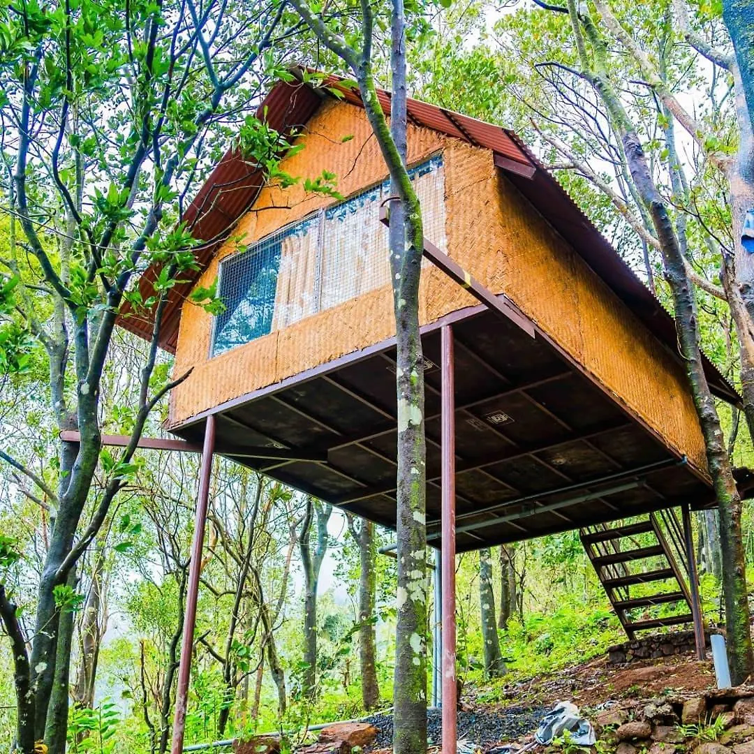 Regina Silva Camping & Nature Resort Paithalmala Holiday park